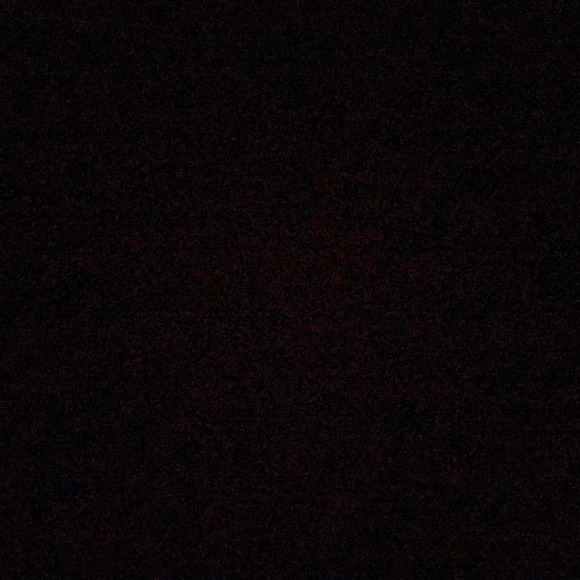 kim22445